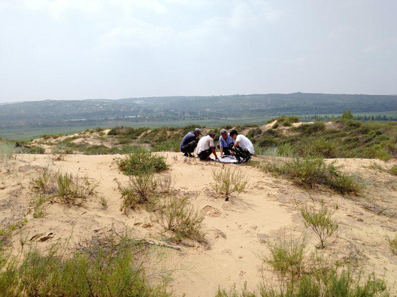 今年会·(中国集团)官方网站