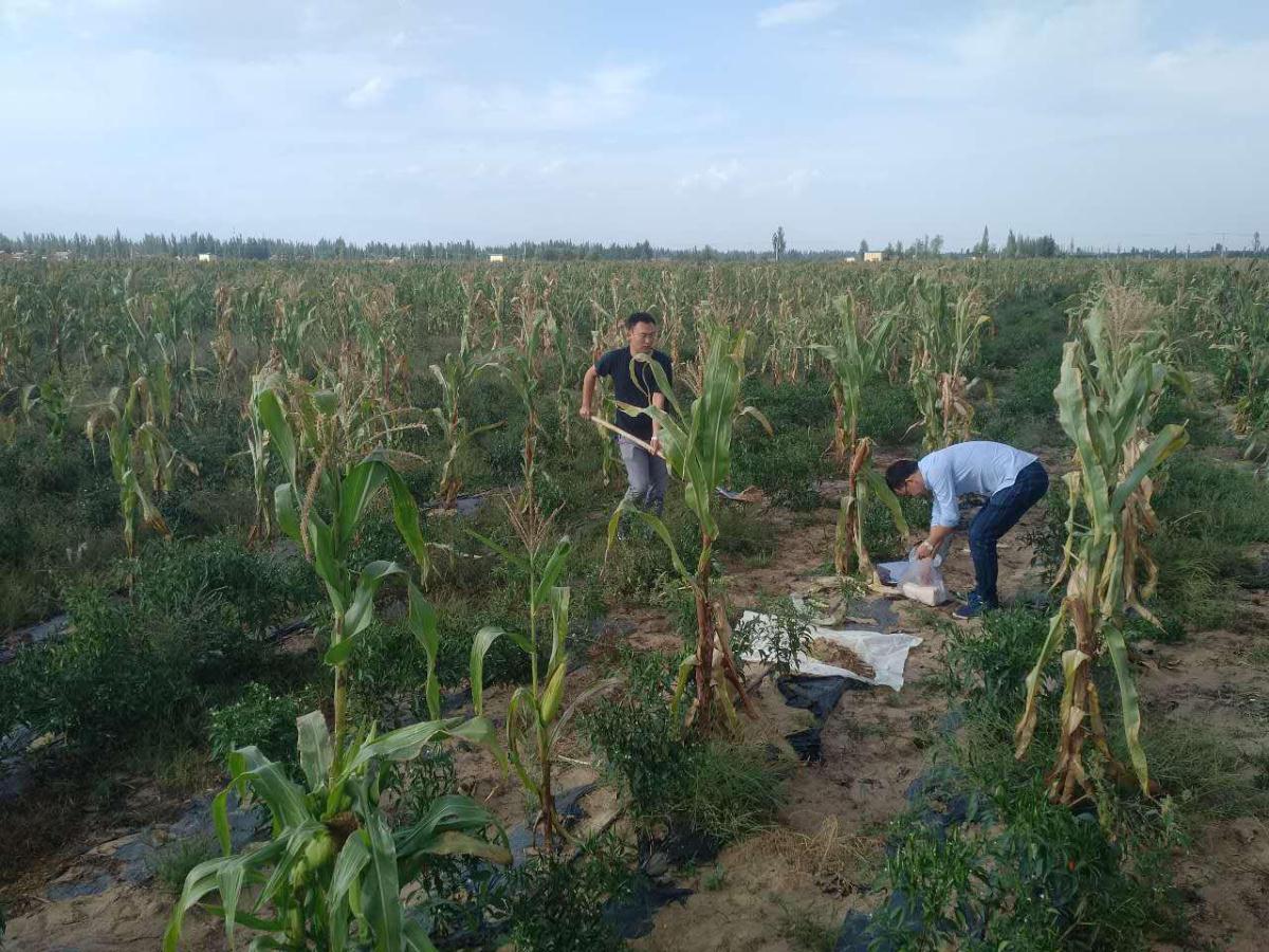 今年会·(中国集团)官方网站