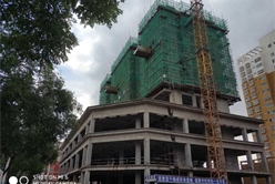 202012071755046917_248x166