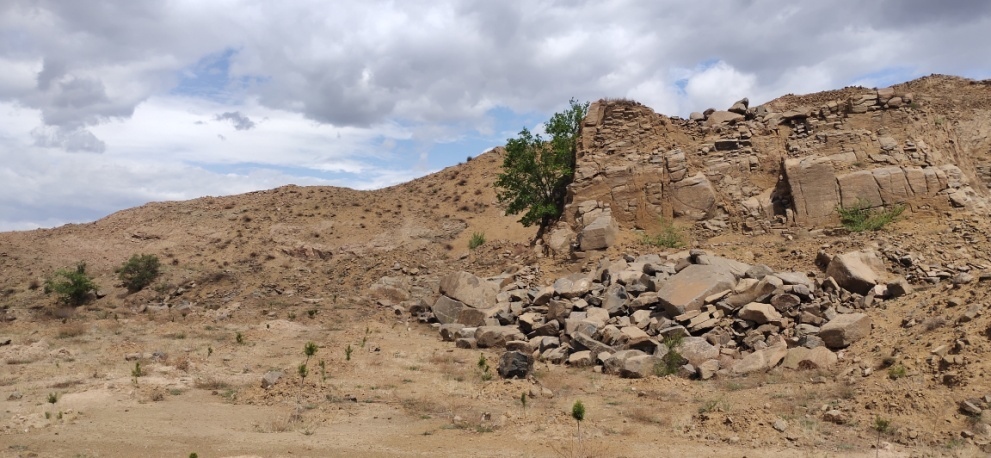 今年会·(中国集团)官方网站