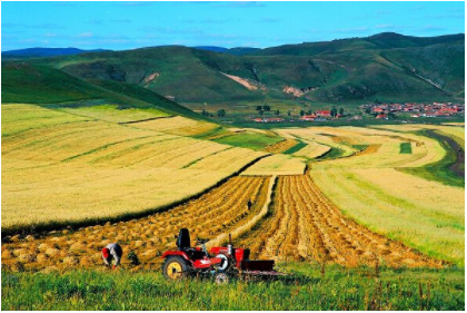 今年会·(中国集团)官方网站