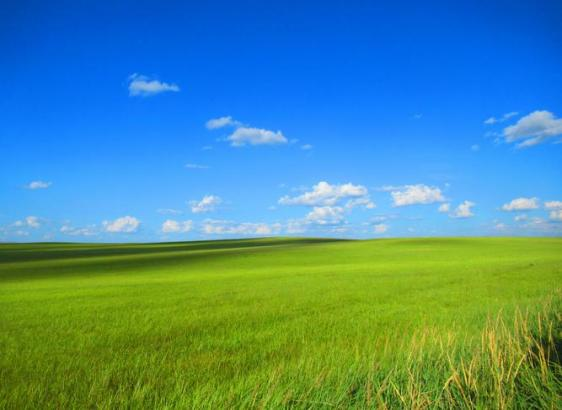 今年会·(中国集团)官方网站