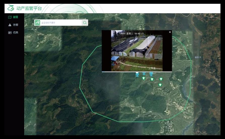 今年会·(中国集团)官方网站