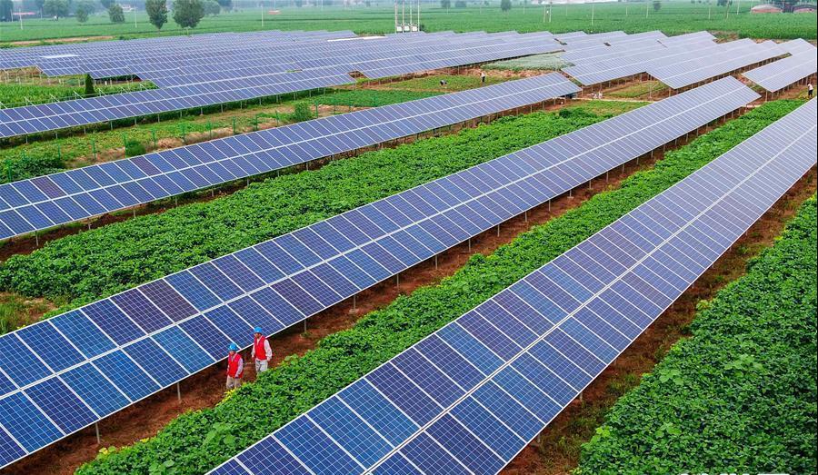 今年会·(中国集团)官方网站