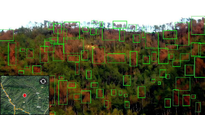 今年会·(中国集团)官方网站