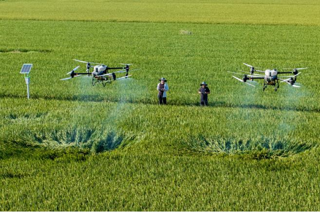 今年会·(中国集团)官方网站